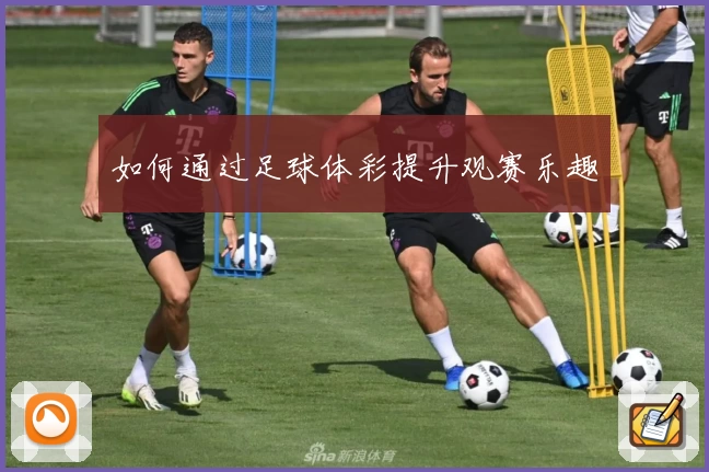 如何通过足球体彩提升观赛乐趣