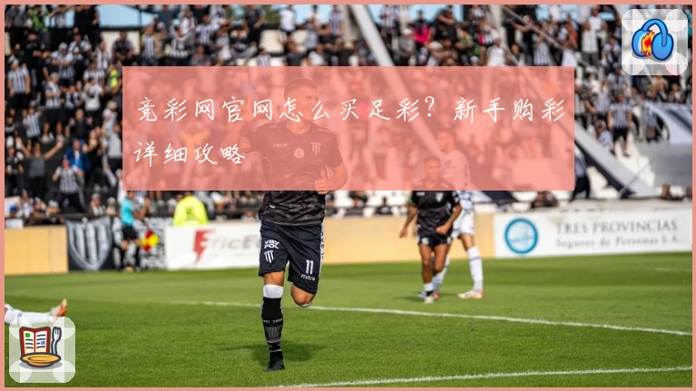 竞彩网官网怎么买足彩？新手购彩详细攻略