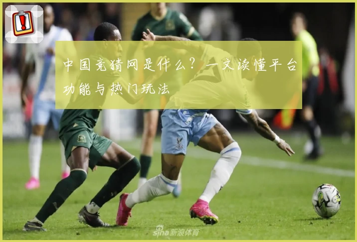 中国竞猜网是什么？一文读懂平台功能与热门玩法