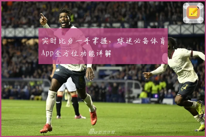 实时比分一手掌握,球迷必备体育App全方位功能详解