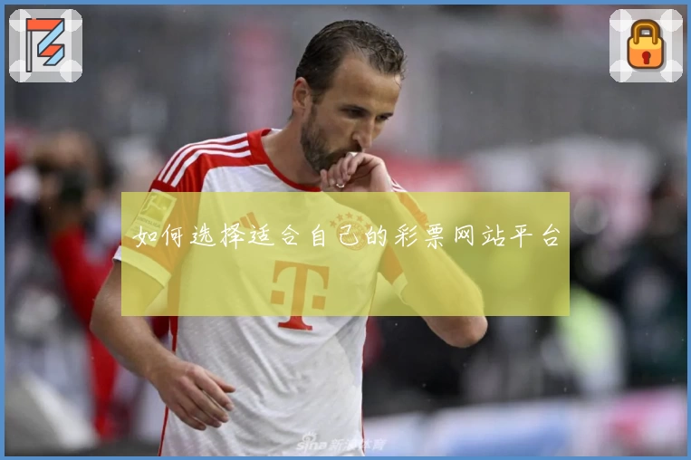 如何选择适合自己的彩票网站平台