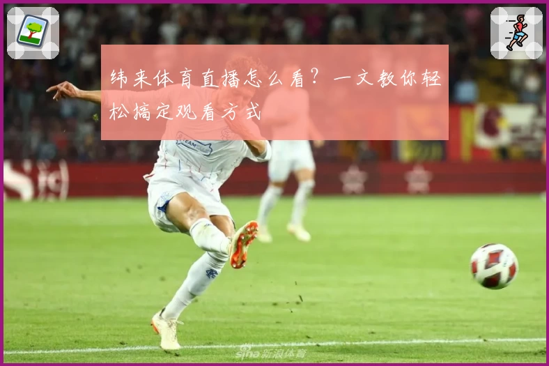 纬来体育直播怎么看？一文教你轻松搞定观看方式