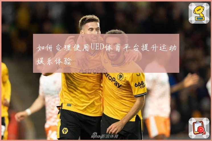 如何合理使用UED体育平台提升运动娱乐体验