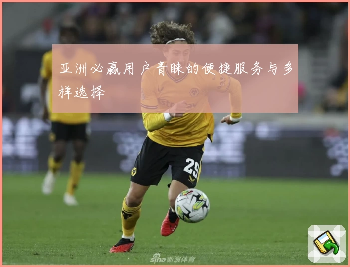 亚洲必赢用户青睐的便捷服务与多样选择