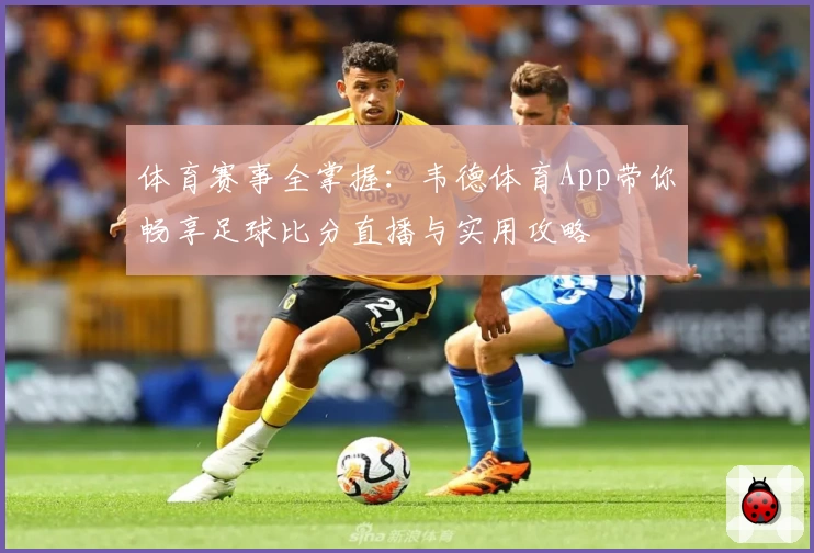 体育赛事全掌握:韦德体育App带你畅享足球比分直播与实用攻略