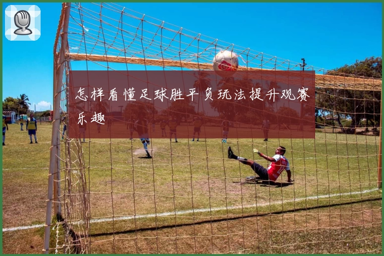 怎样看懂足球胜平负玩法提升观赛乐趣