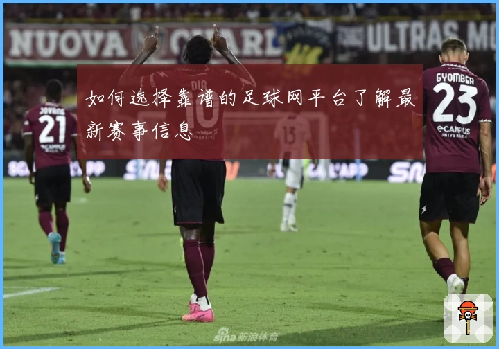 如何选择靠谱的足球网平台了解最新赛事信息