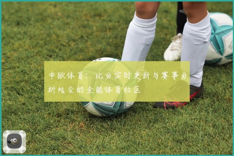 中欧体育：比分实时更新与赛事分析结合的全能体育社区