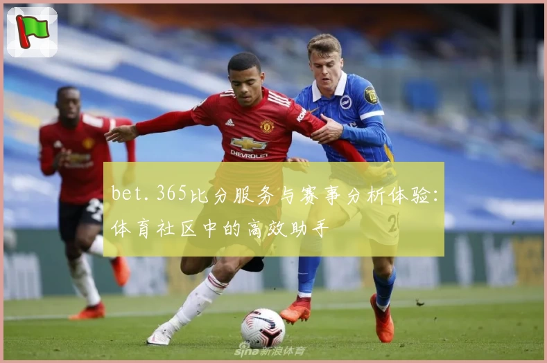 bet.365比分服务与赛事分析体验：体育社区中的高效助手