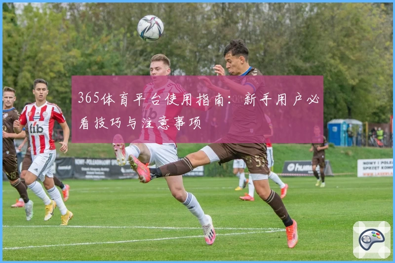 365体育平台使用指南：新手用户必看技巧与注意事项