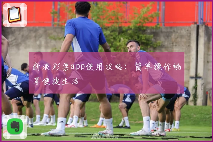新浪彩票app使用攻略：简单操作畅享便捷生活