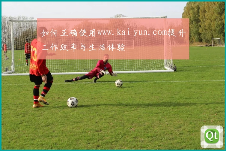 如何正确使用www.kai yun.com提升工作效率与生活体验