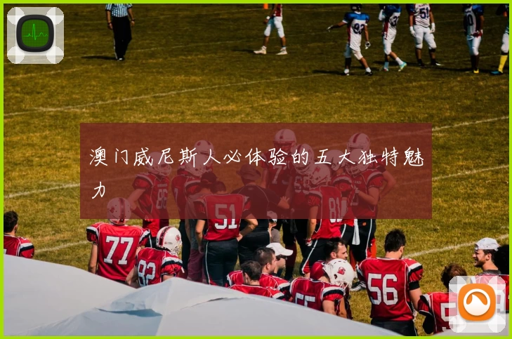 澳门威尼斯人必体验的五大独特魅力