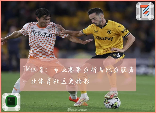 IM体育：专业赛事分析与比分服务，让体育社区更精彩