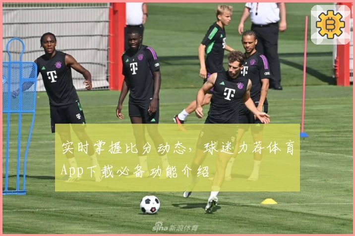 实时掌握比分动态，球迷力荐体育App下载必备功能介绍