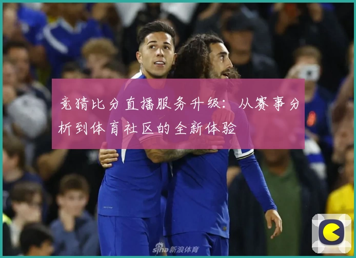 竞猜比分直播服务升级：从赛事分析到体育社区的全新体验