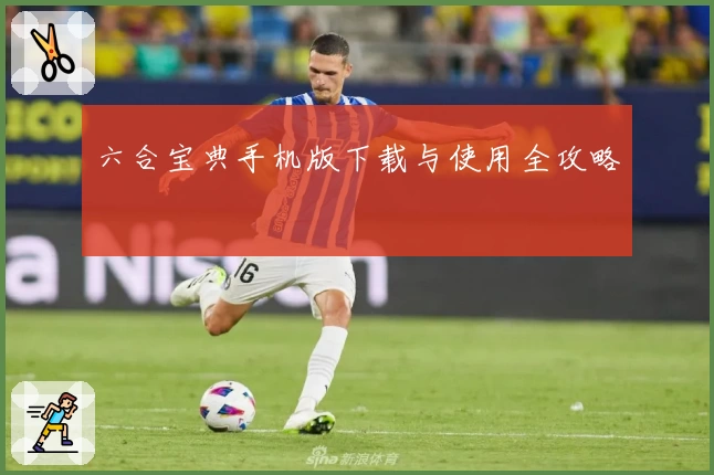 六合宝典手机版下载与使用全攻略
