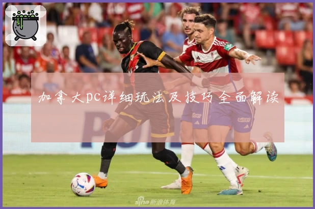加拿大pc详细玩法及技巧全面解读