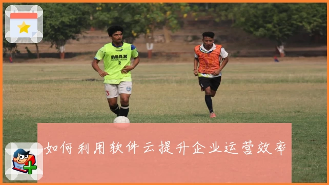如何利用软件云提升企业运营效率