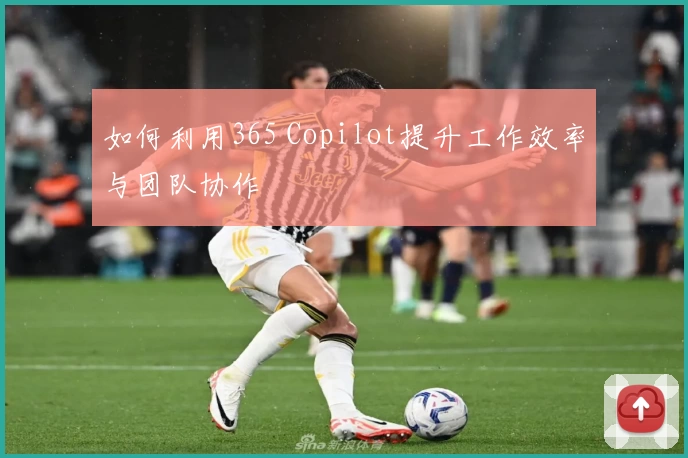 如何利用365 Copilot提升工作效率与团队协作