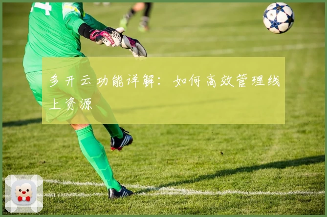 多开云功能详解:如何高效管理线上资源