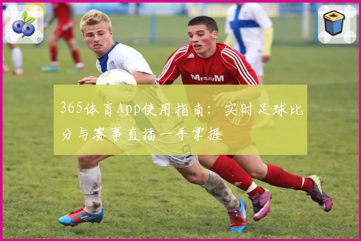 365体育App使用指南：实时足球比分与赛事直播一手掌握