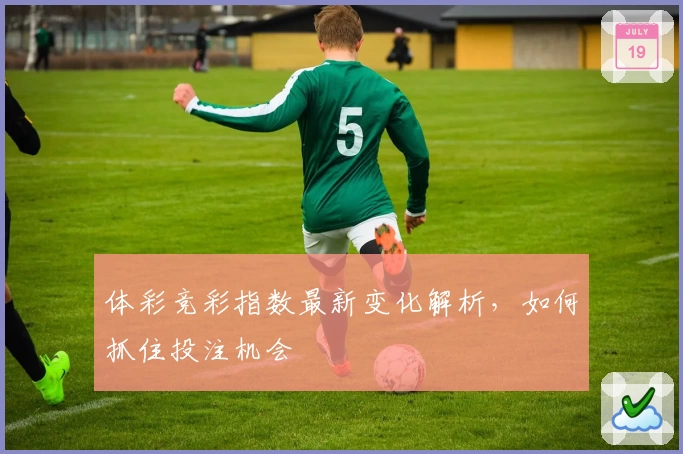 体彩竞彩指数最新变化解析，如何抓住投注机会