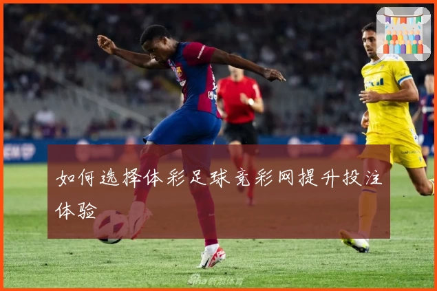 如何选择体彩足球竞彩网提升投注体验