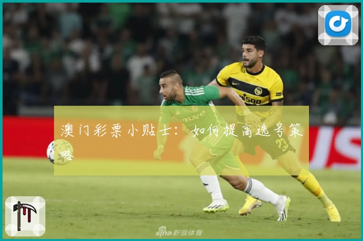 澳门彩票小贴士：如何提高选号策略