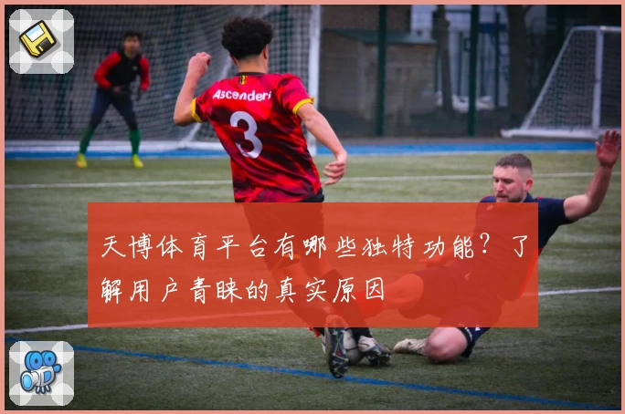 天博体育平台有哪些独特功能？了解用户青睐的真实原因