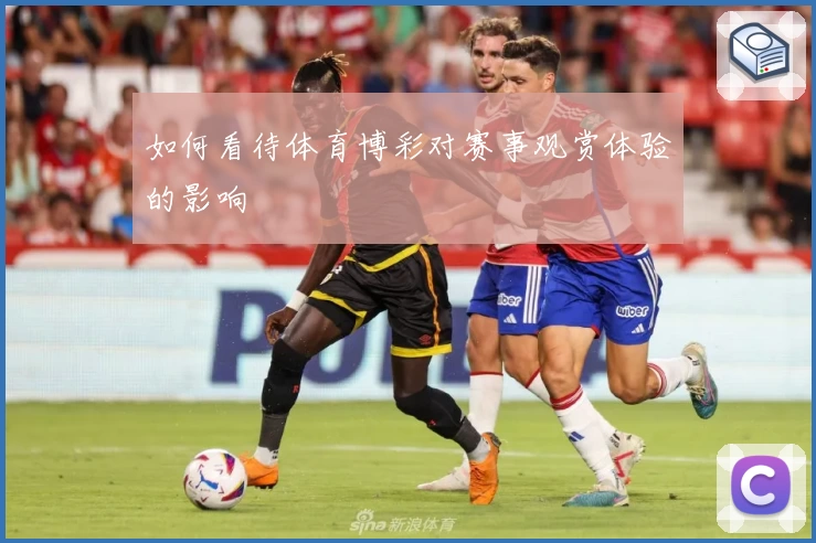 如何看待体育博彩对赛事观赏体验的影响