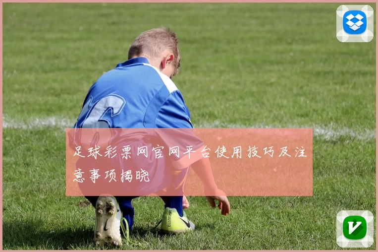 足球彩票网官网平台使用技巧及注意事项揭晓