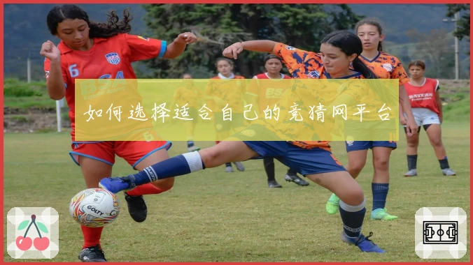 如何选择适合自己的竞猜网平台