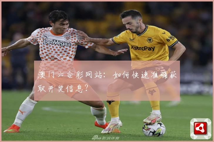 澳门六合彩网站：如何快速准确获取开奖信息？