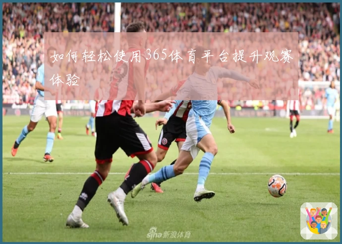 如何轻松使用365体育平台提升观赛体验