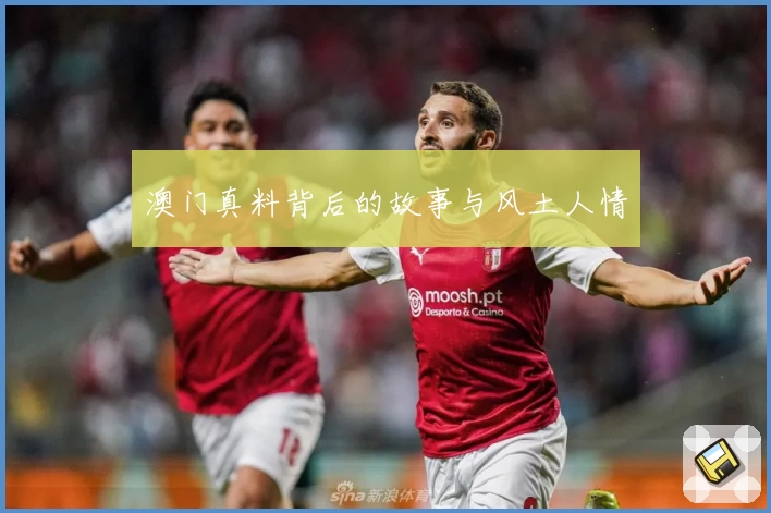 澳门真料背后的故事与风土人情