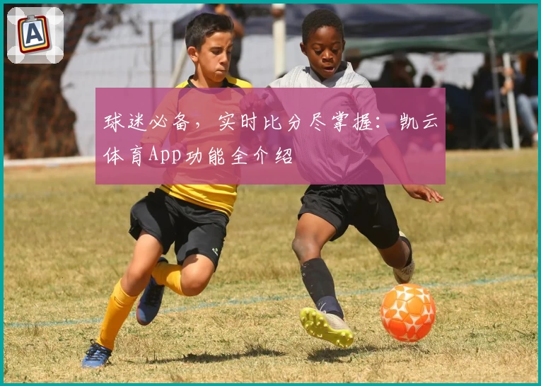 球迷必备，实时比分尽掌握：凯云体育App功能全介绍