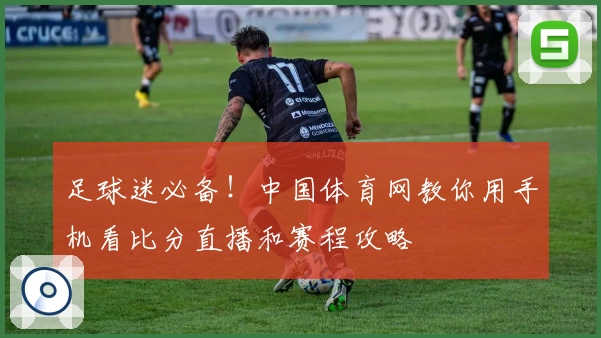 足球迷必备！中国体育网教你用手机看比分直播和赛程攻略