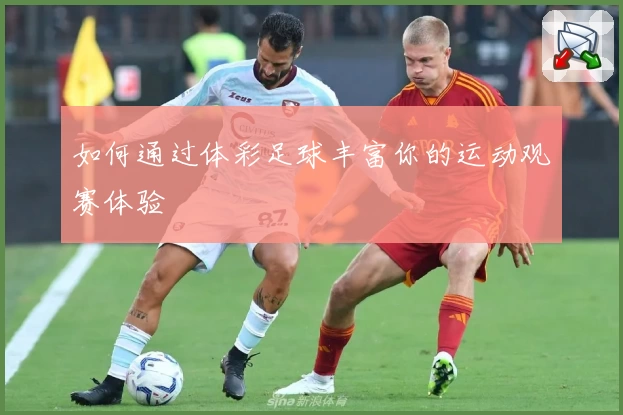 如何通过体彩足球丰富你的运动观赛体验