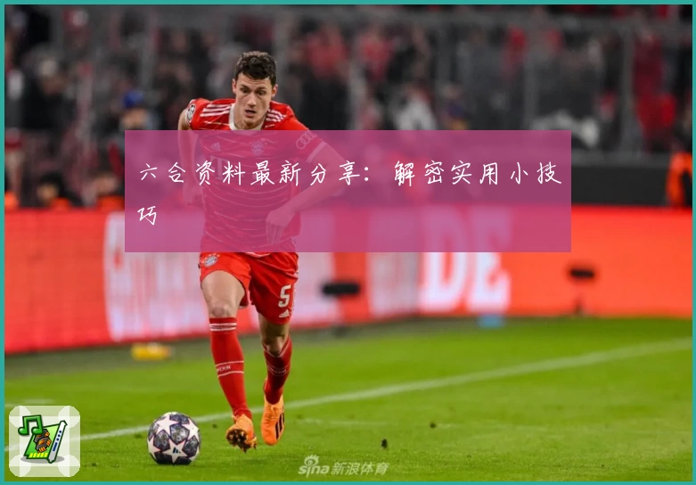 六合资料最新分享：解密实用小技巧