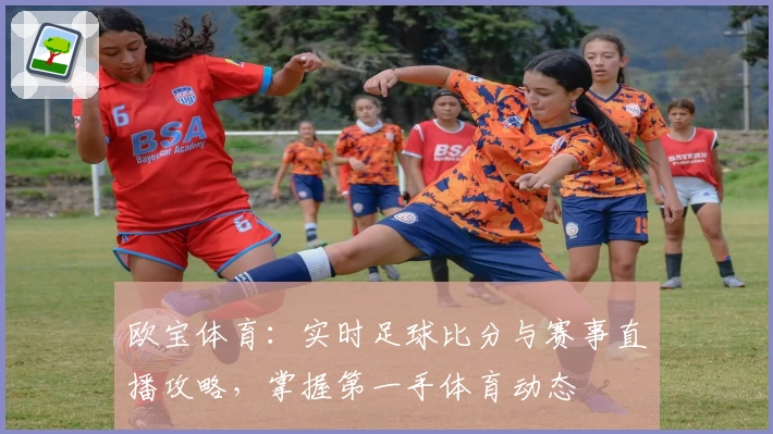 欧宝体育:实时足球比分与赛事直播攻略,掌握第一手体育动态