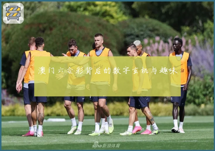 澳门六合彩背后的数字玄机与趣味