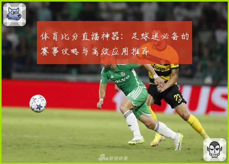 体育比分直播神器：足球迷必备的赛事攻略与高效应用推荐