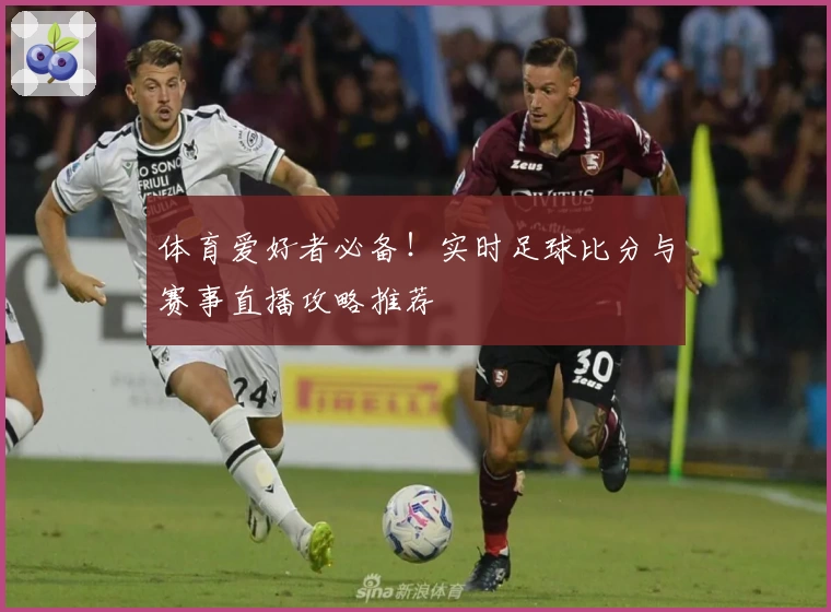 体育爱好者必备!实时足球比分与赛事直播攻略推荐