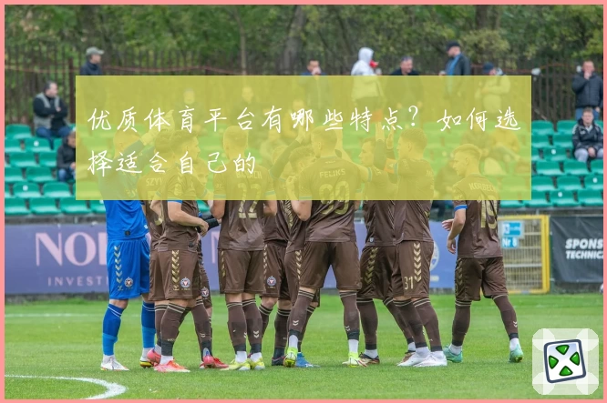 优质体育平台有哪些特点？如何选择适合自己的