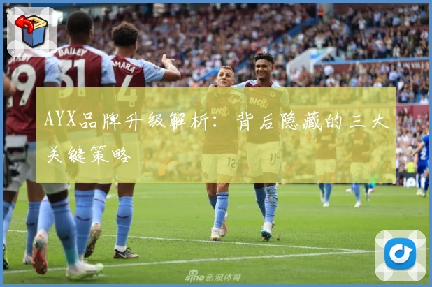 AYX品牌升级解析：背后隐藏的三大关键策略