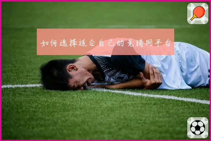 如何选择适合自己的竞猜网平台