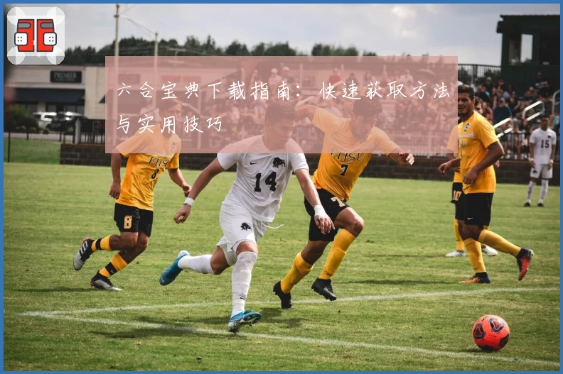 六合宝典下载指南：快速获取方法与实用技巧