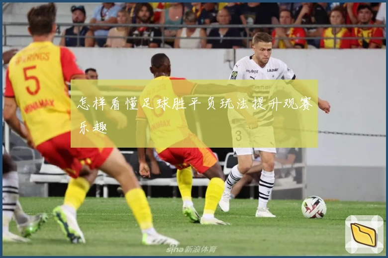 怎样看懂足球胜平负玩法提升观赛乐趣