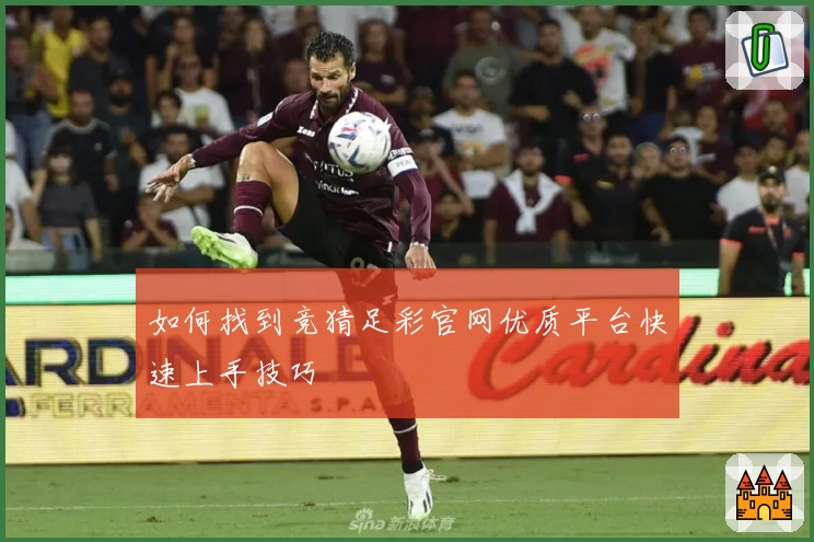如何找到竞猜足彩官网优质平台快速上手技巧